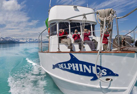 Courtesy of Don Paulson Delphinus Glacier Bay National Park
